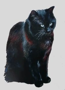 Dessin d'un chat noir au crayon