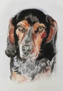 Dessin d'un chien au crayon
