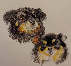Dessin de chiens au crayon