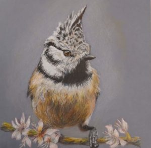 Dessin d'une chouette au crayon