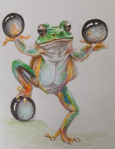 Dessin d'une grenouille au crayon