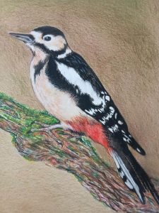 Dessin d'un oiseau au crayon